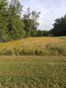 Birdsong St, Trinidad, TX, 75163