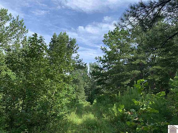 3rd image of 125 Cotton Back Rd
