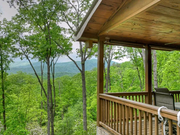 58 Haley Dr, Cherry Log, GA 30522