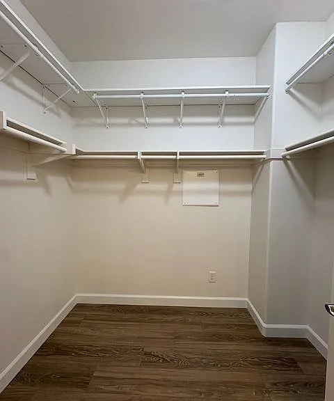 13007 Carita Cv — Photo 11
