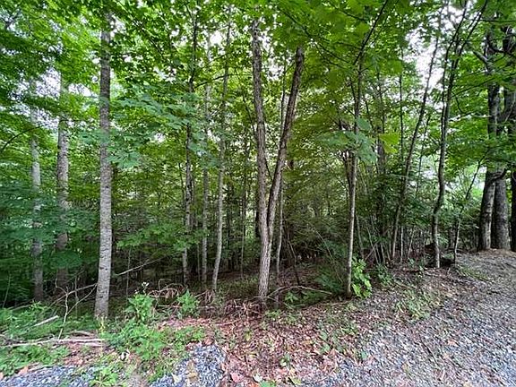 5th image of Hemlock Dr