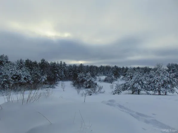 14315 N Paynesville Rd, Bruce Crossing, MI 49912