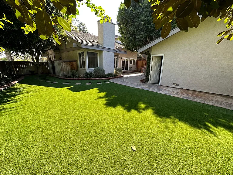 Backyard/garage