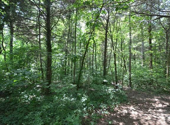 2nd image of 0 William Glen Rd Lot 23