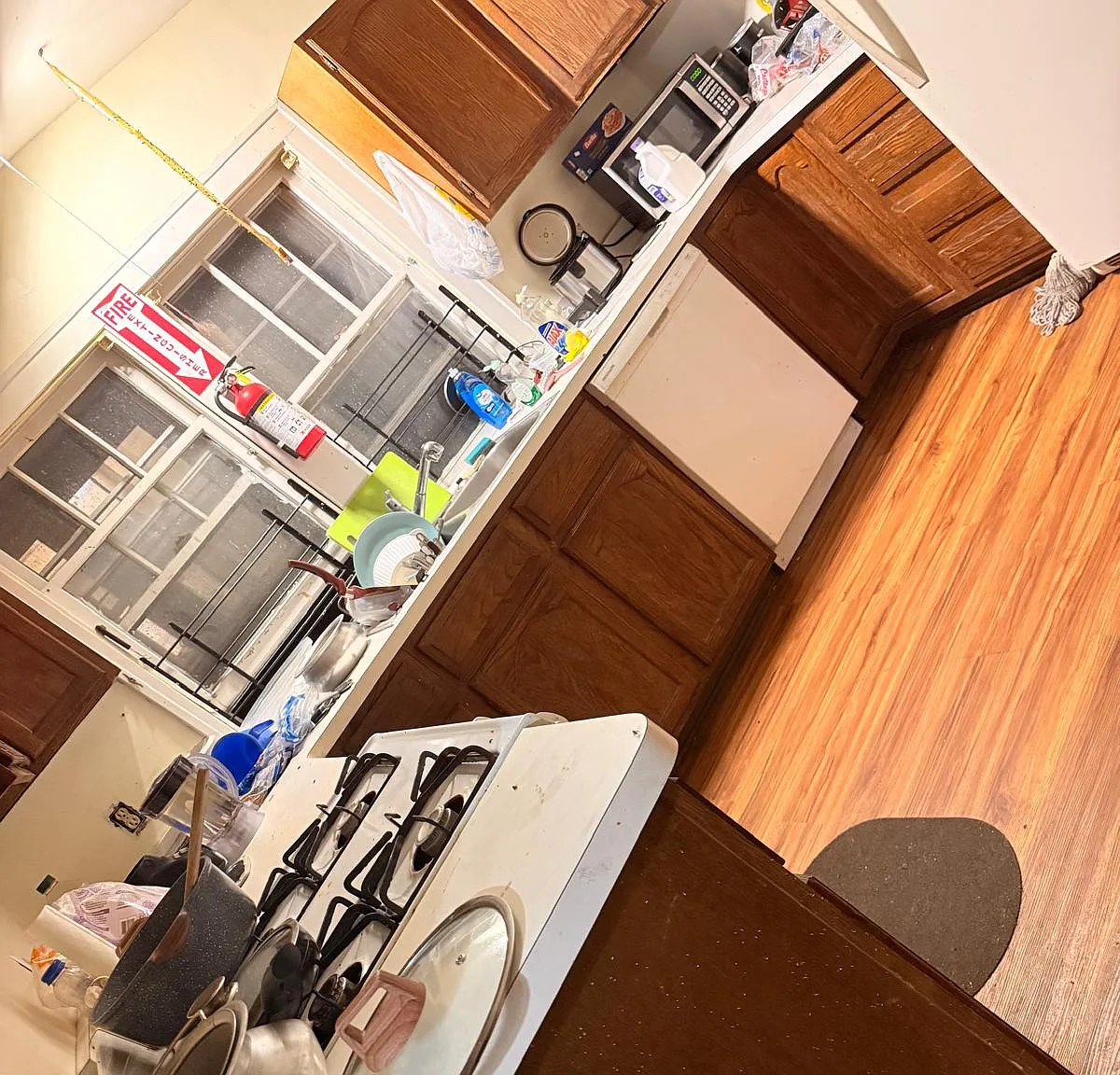 1 bed, $600 — Photo 3