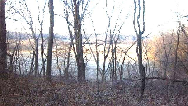 2nd image of 16/AC Freidig Rd