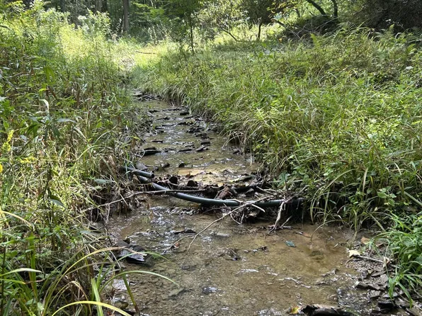 230 Little River Retreat Rd, Bartow, WV 24920