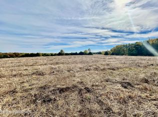 Dynamite Ridge Rd, California, MO 65018