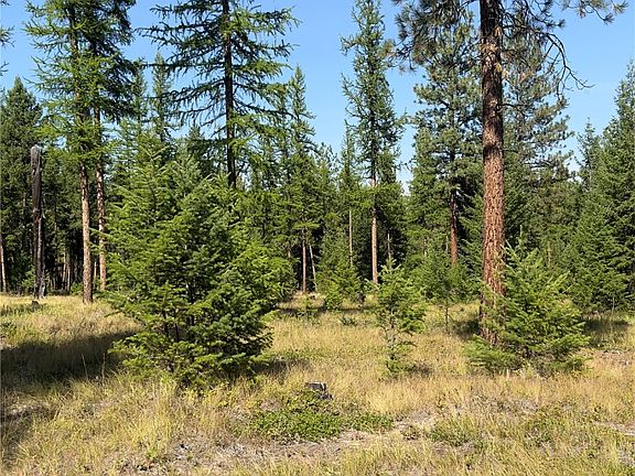 4th image of 501 Kootenai Echo Trl