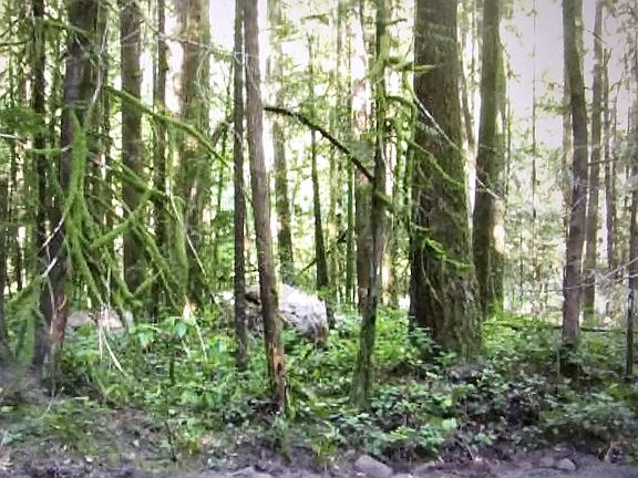 5th image of E John Lake Rd