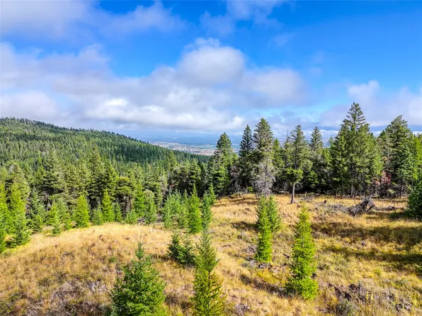 Nhn Buffalo Ln, Somers, MT 59932
