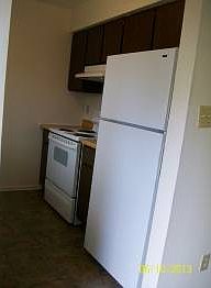 5th image of 5809 Big Oak Dr