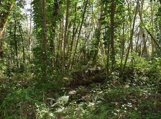Ginger Rd LOT 479, Pahoa, HI 96778
