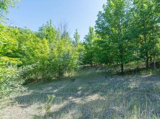 11 W Hlavka Rd, Maple City, MI 49664