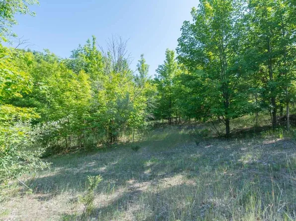 11 W Hlavka Rd, Maple City, MI 49664