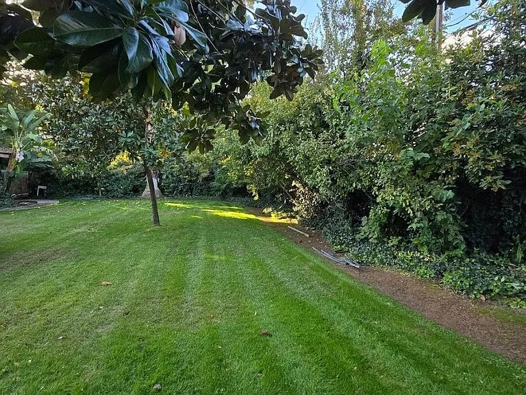 1176 W San Bruno Ave — Photo 10
