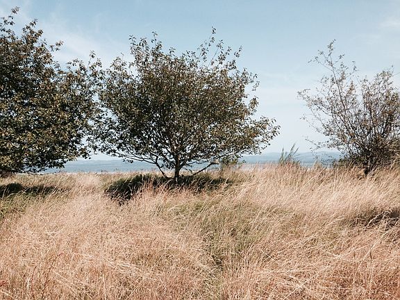 Picnic at the water's edge