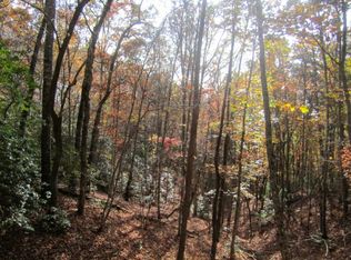 41 Lance Woods, Blairsville, GA 30512