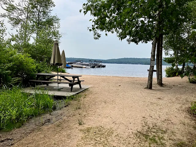 2 bed, 1.5 bath, 1248 sqft, $2,000 — Photo 3