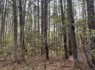 0 Palm St, Reevesville, SC 29471