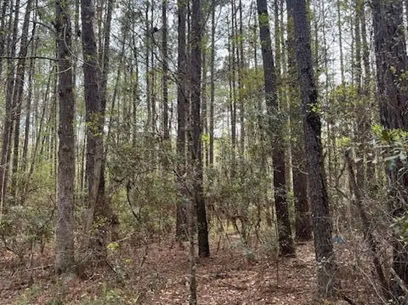 0 Palm St, Reevesville, SC 29471