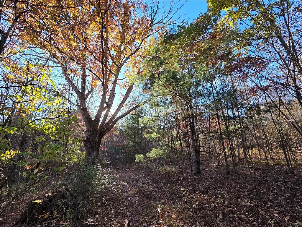 147 Clark Hollow Rd photo 1