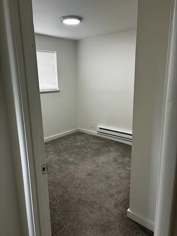 1 bed, 250 sqft, $800 — Photo 3