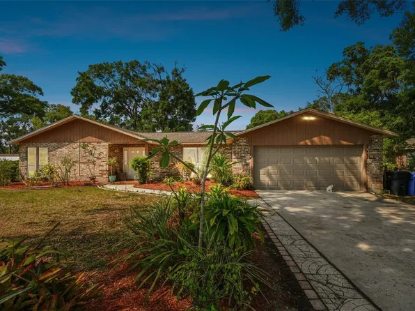 2222 Arch McDonald Dr, Dover, FL 33527