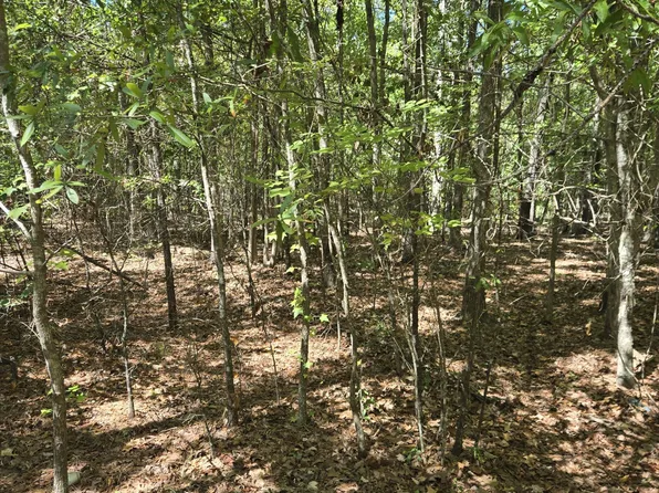 0 Partridge Town Rd Road, Lincolnton, GA 30817