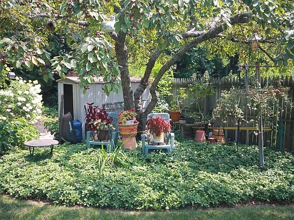 5th image of this home