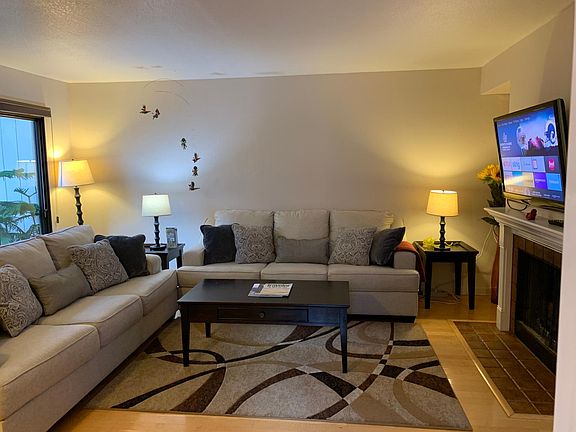 Living room with fire place & New Queen slipper sofa bed