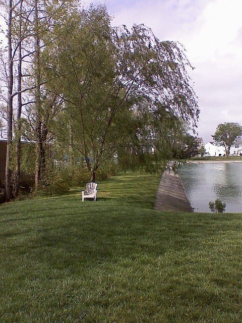 Partial view from deck