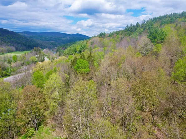 (undisclosed Address), West Kill, NY 12492