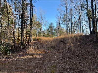 0 Tanglewood Dr, Mount Airy, NC, 27030