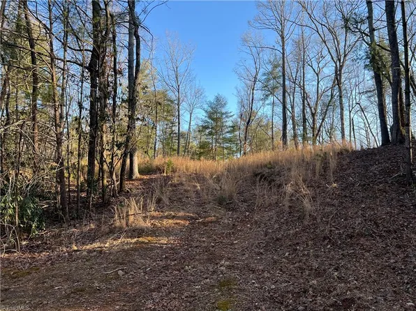0 Tanglewood Dr, Mount Airy, NC 27030