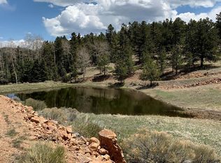 LOT 54 Eagle Springs Rd, Westcliffe, CO 81252