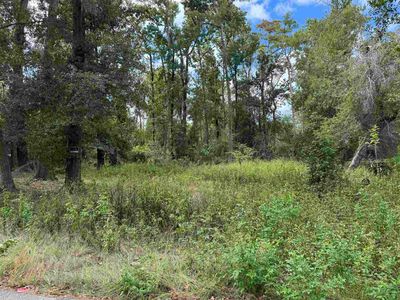 Cactus St, Tallahassee, FL, 32304