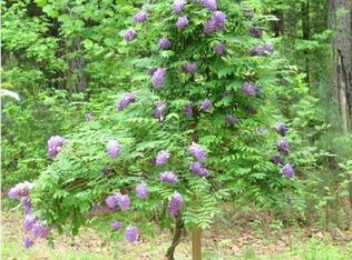 46 Redbud Ct, Palmyra, VA 22963