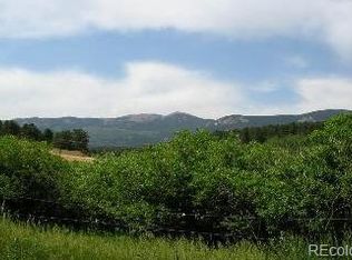 226 Smith Rd, Bailey, CO 80421