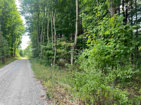 0 Burton Rd, Capac, MI 48014