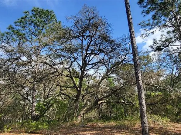 12090 Osprey Ave Lot 11, Brooksville, FL 34614