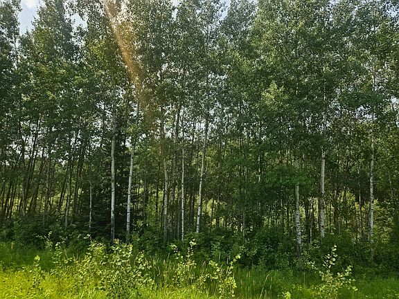 2nd image of 17 County Rd
