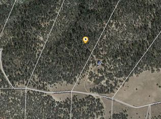 1387 33rd Trl, Cotopaxi, CO 81223