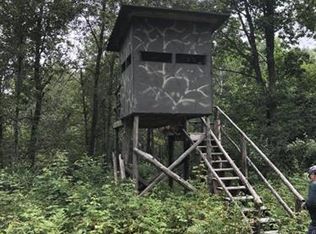 12500 50th Ave, Evart, MI 49631