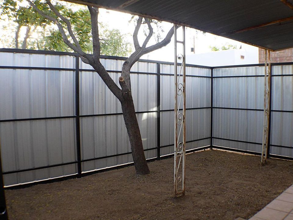Cool, fenced in backyard.