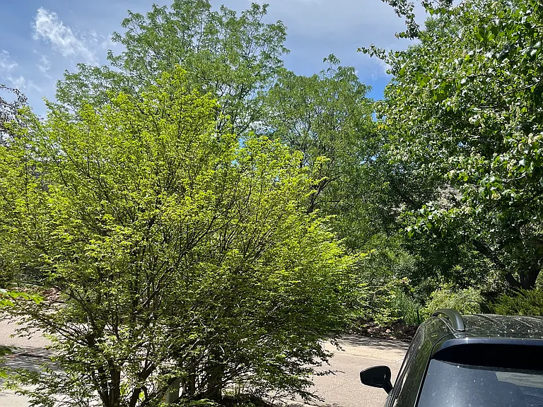 Your own private parking in the driveway looking onto the park