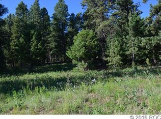 3826 Campfire Rd, Hartsel, CO 80449