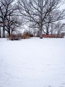 5109 Carson Ave SW, Wyoming, MI, 49548