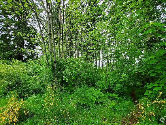 2nd image of 15630 Scenic Shores Drive SE