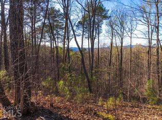 175 Doll Mountain Rd #175, Ellijay, GA 30540